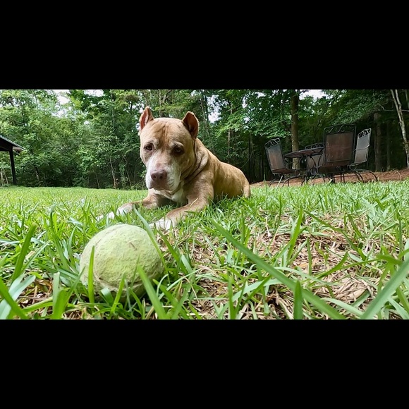 Meet Your Posher, Janice - Picture 7 of 8